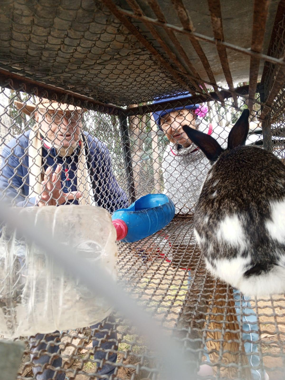 Residentes alimentando a los conejos de la granja