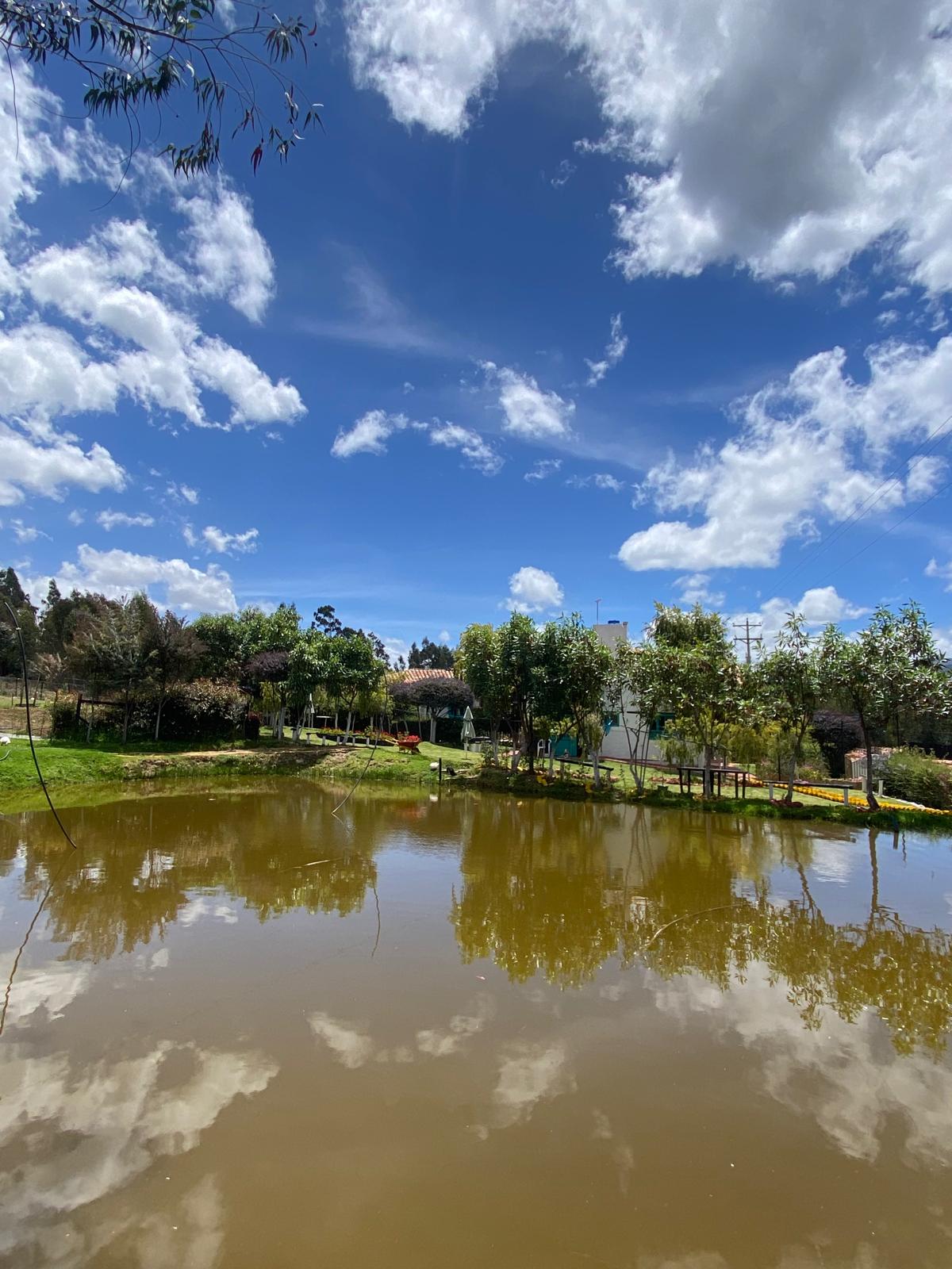Vista del lago y los jardines del Manantial